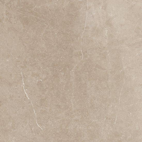 ÉCHANTILLON Ceralto Elmira Plank 450X450 Piazen PE007 Clay SW1122931