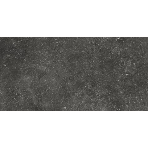 Ceralto Micello R11 Carreau de sol - 60x120cm - 10.0mm - rectifié - Namur SW917497