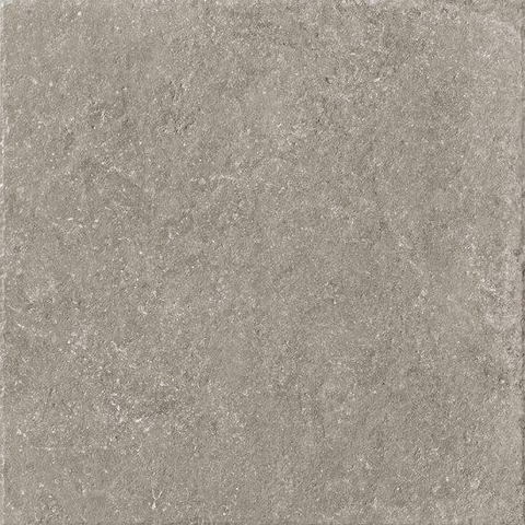 SAMPLE Ceralto Divaro Plank Vloertegel - 80x80cm - 9.5mm - gerectificeerd - Grey SW912671