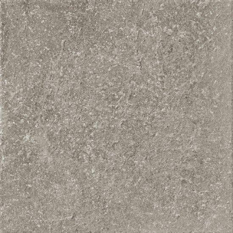 SAMPLE Ceralto Divaro Plank Vloertegel - 80x80cm - 9.5mm - gerectificeerd - Grey SW912671