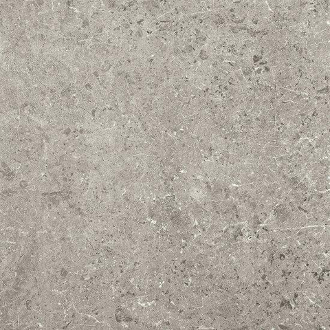 SAMPLE Ceralto Nordico R11 Vloertegel - 60x60cm - 9.5mm - gerectificeerd - Titanio SW914473