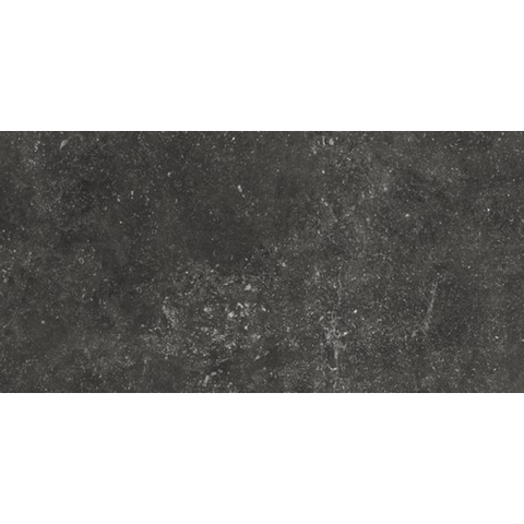 Ceralto Micello R11 Carreau de sol - 60x120cm - 10.0mm - rectifié - Namur SW917497