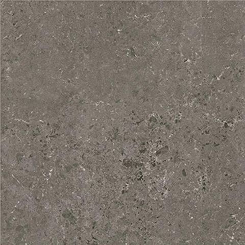 SAMPLE Ceralto Nordico R11 Vloertegel - 60x60cm - 9.5mm - gerectificeerd - Antracite SW914475