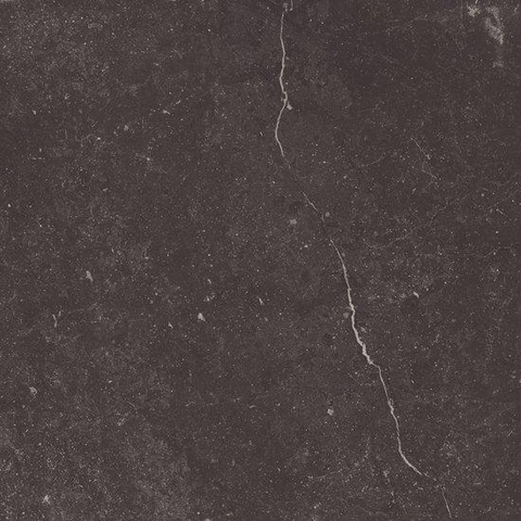 ÉCHANTILLON Ceralto Elmira Plank 600X600 Piazen P6074 Coal SW1122936