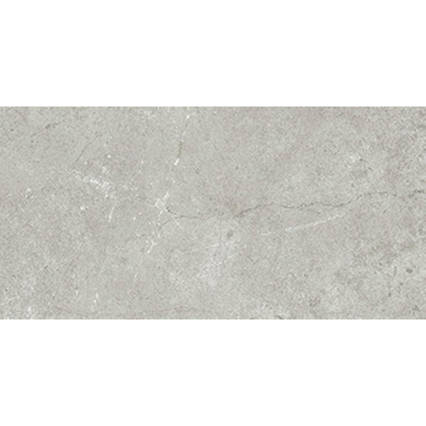 Ceralto Cemento Alto Concrete Carreau de sol - 30x60cm - 10.0mm - rectifié - gris SW928445