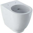 Geberit Acanto WC sur pied - 35x51x42.5 - sans bride - à fond creux - blanc SW417471