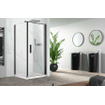 Nemo Pina paroi latérale 100x200cm 6mm verre de sécurité clair Noir mat SW636687