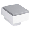 Geberit Preciosa II abattant de WC avec abattant softclose blanc 0087909