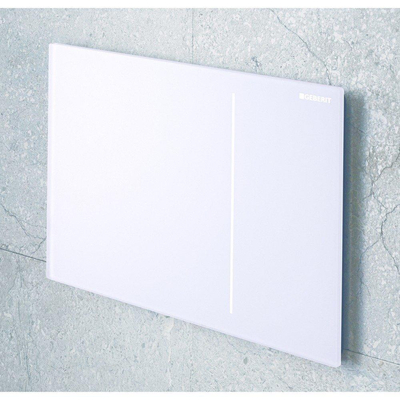 Geberit Sigma70 bedieningplaat met dualflush frontbediening voor toilet 24x15.8cm wit TWEEDEKANS