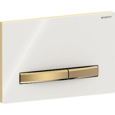 GEB GEBERIT SIGMA50 BEDIENINGSPLAAT VOOR SPO
