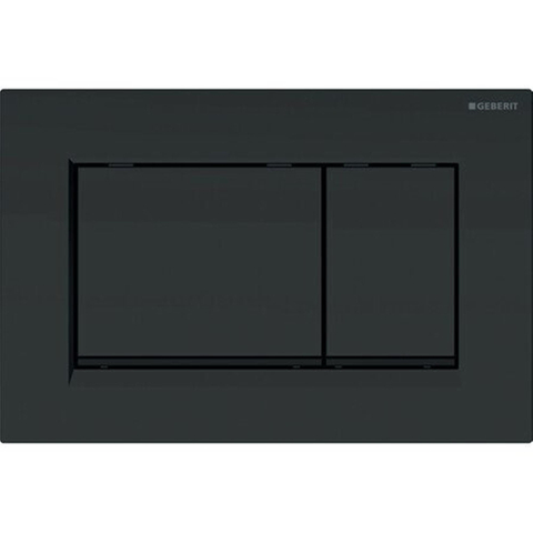 Geberit Sigma30 Bouton de commande WC/urinoir DualFlush 24.6x16.4cm Noir mat SW420177